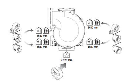 KIT EASYHOME AUTO + COLORLINE
